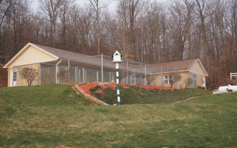 Spacious Kennel 1