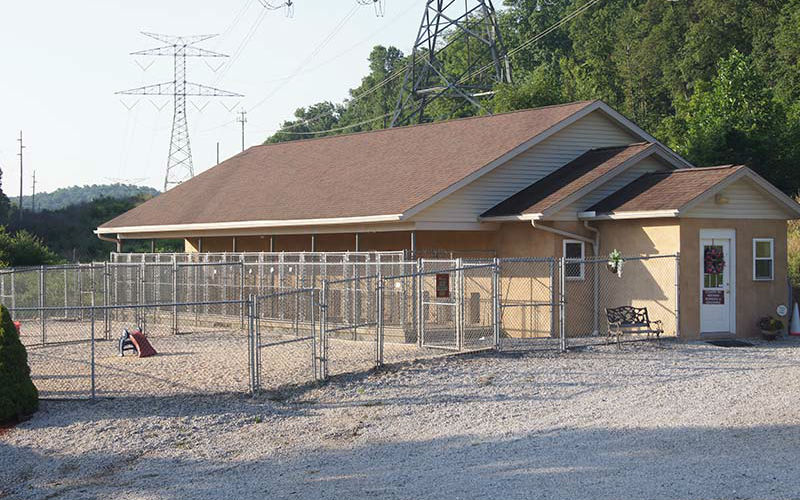 Secure Kennel 4