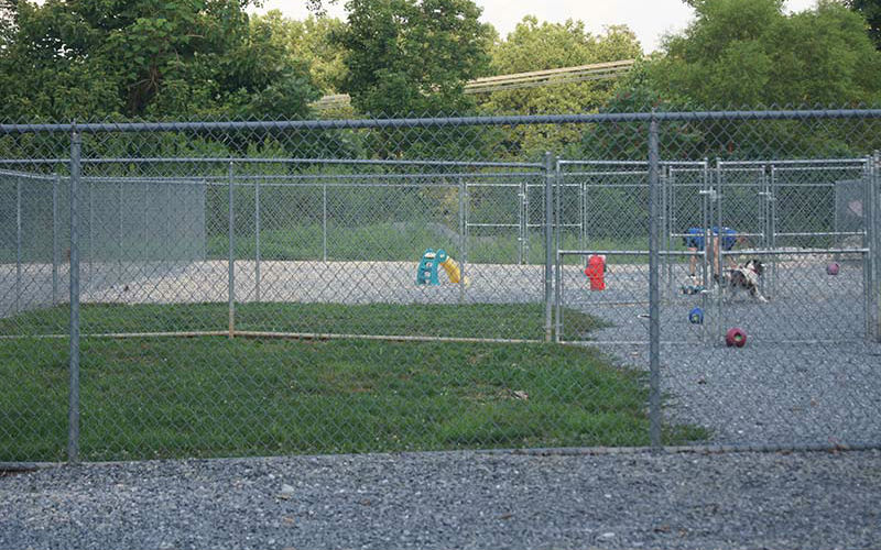 Clean Kennel 5